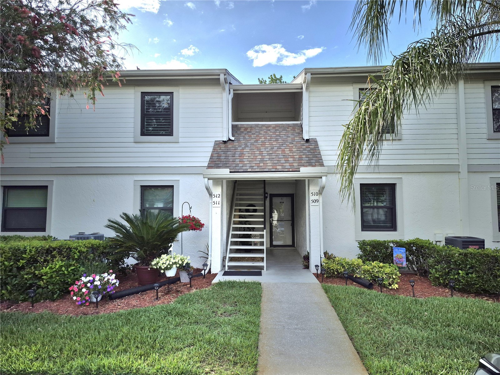 509 Meadow Lane #509 Oldsmar FL 34677 TB8496709 image2