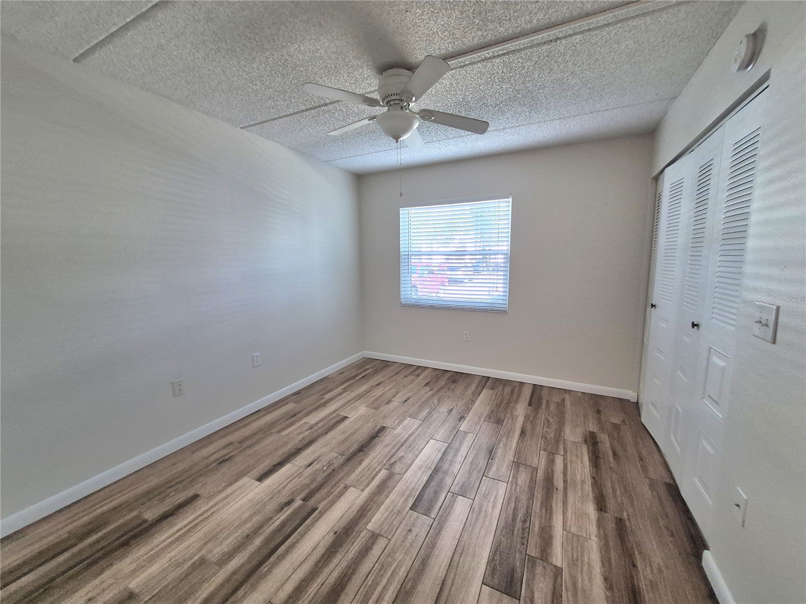 509 Meadow Lane #509 Oldsmar FL 34677 TB8496709 image20