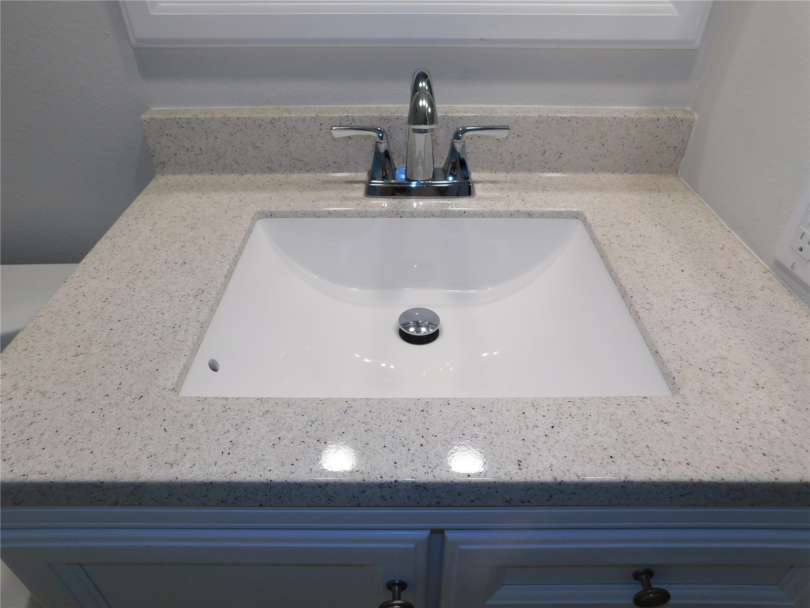 509 Meadow Lane #509 Oldsmar FL 34677 TB8496709 image24