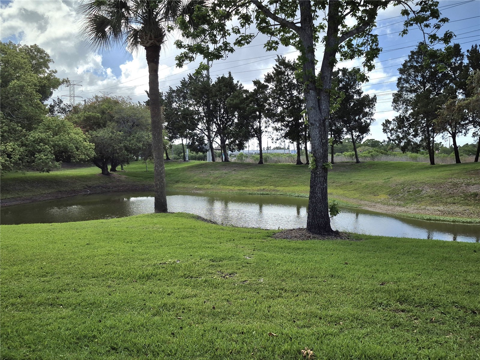 509 Meadow Lane #509 Oldsmar FL 34677 TB8496709 image29