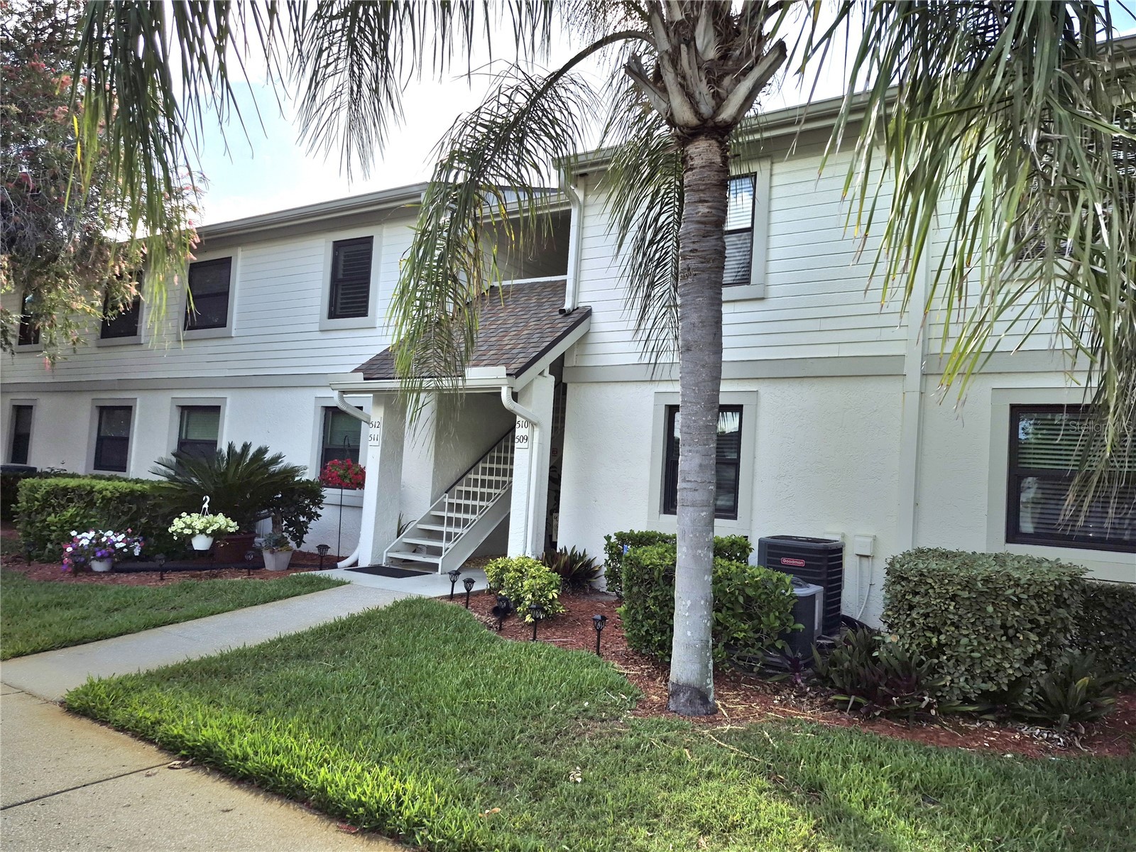 509 Meadow Lane #509 Oldsmar FL 34677 TB8496709 image3