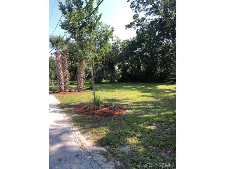 509 N Duss Street New Smyrna Beach FL 32168 NS1075061 image1