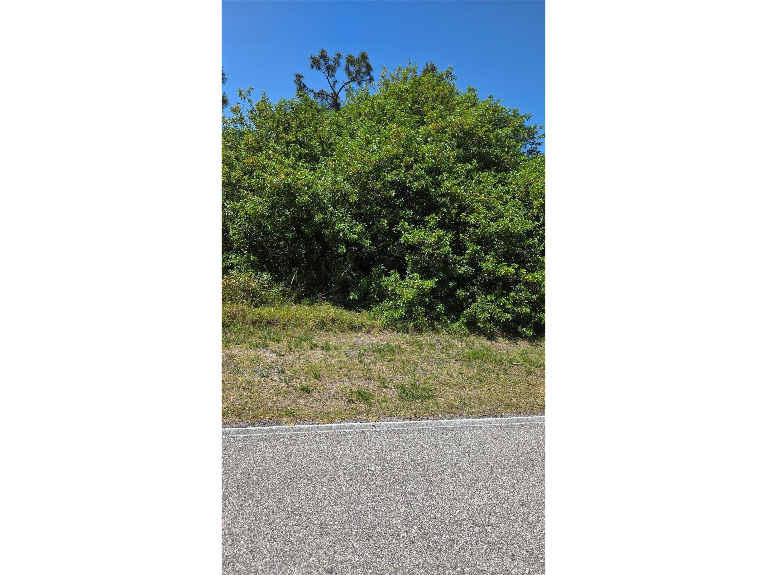 509 Orange Drive NW Port Charlotte FL 33952 C7511257 image3