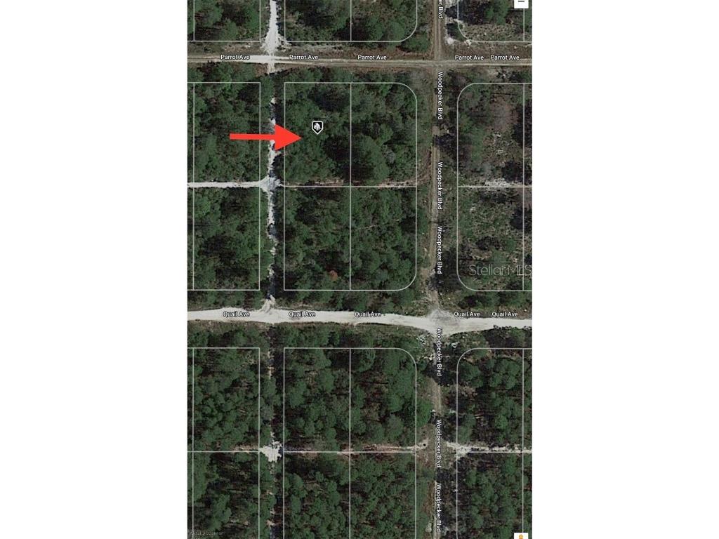 509 Parrot Avenue Sebring FL 33872 O6114305 image1