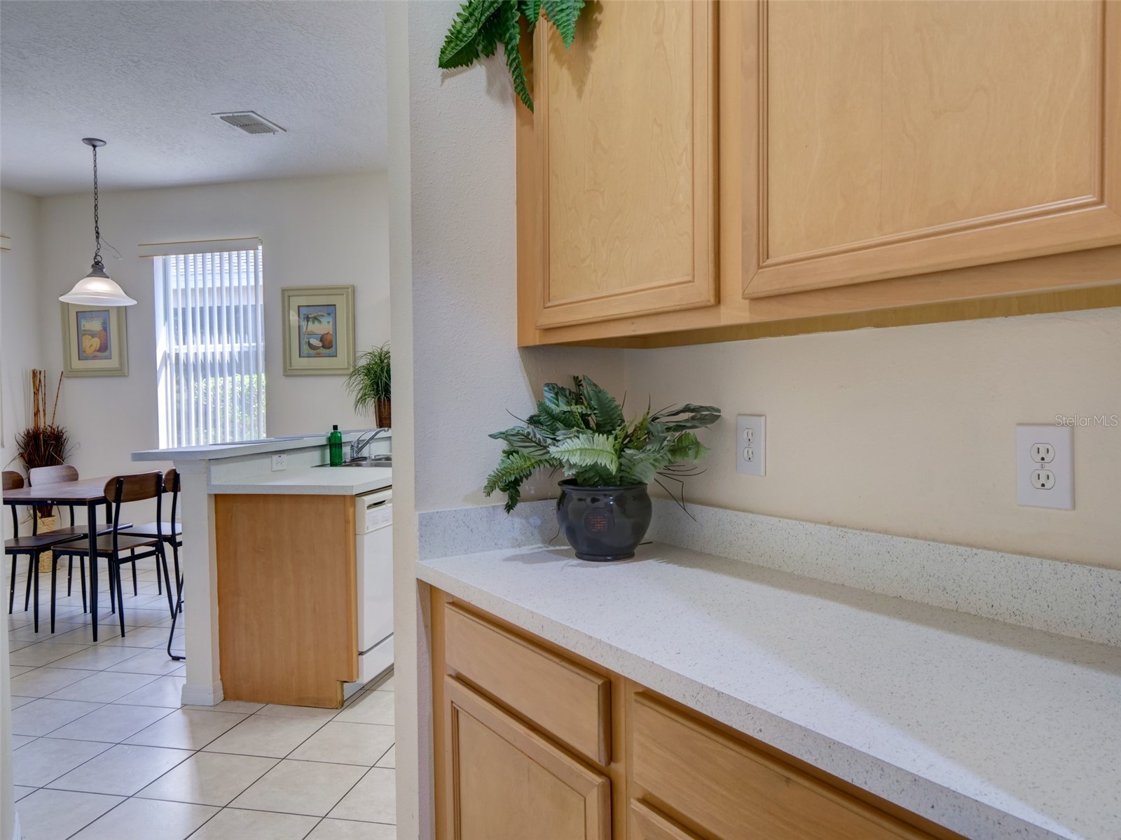 509 Pineloch Drive Haines City FL 33844 O6391030 image19