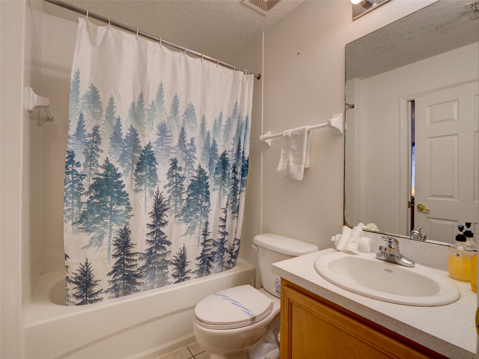 509 Pineloch Drive Haines City FL 33844 O6391030 image51