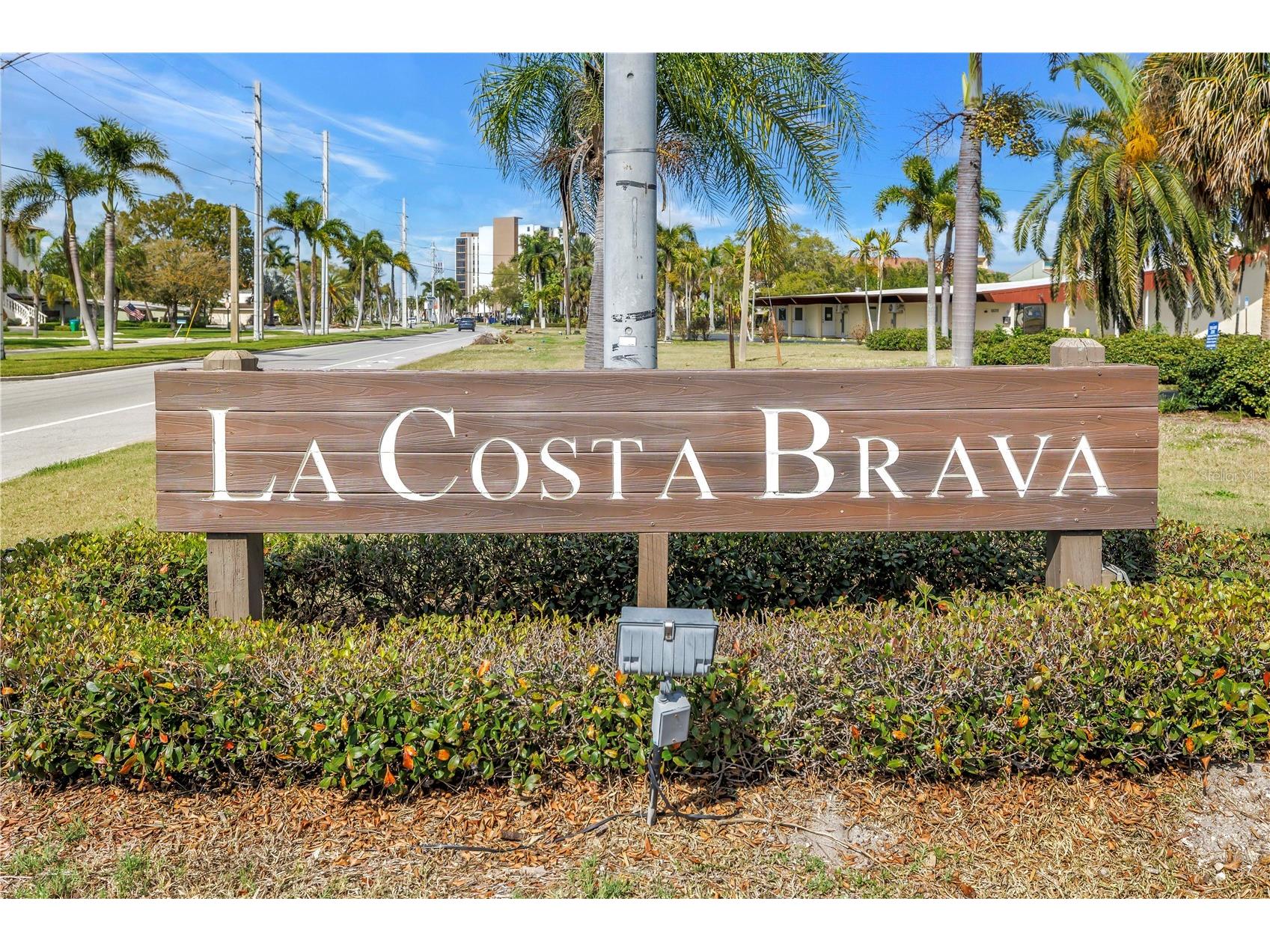 509 Plaza Seville Court #19 Treasure Island FL 33706 TB8484412 image7