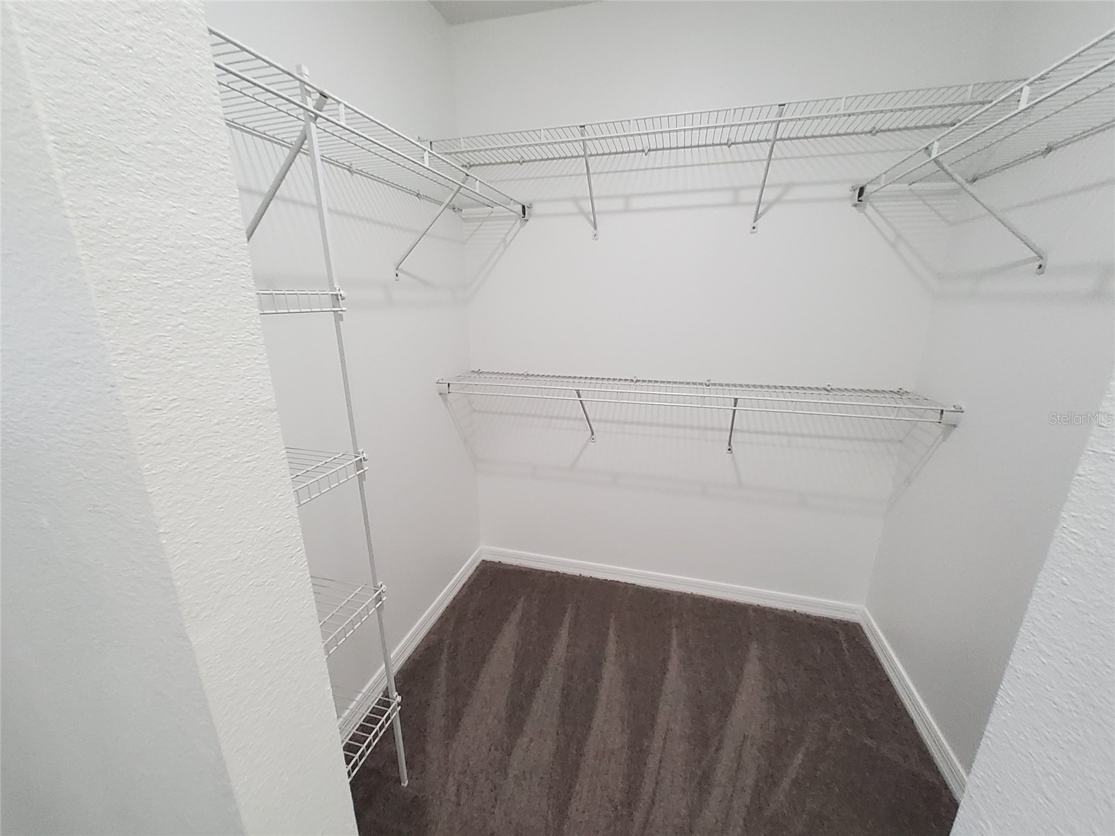 509 Ridges Drive Dundee FL 33838 O6387088 image16