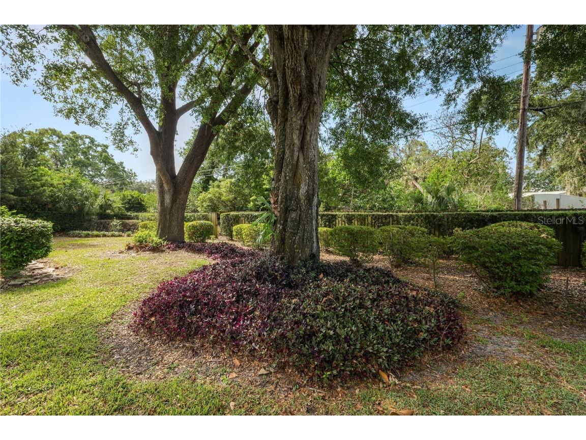 509 Rob Roy Street Lakeland FL 33813 L4953128 image42