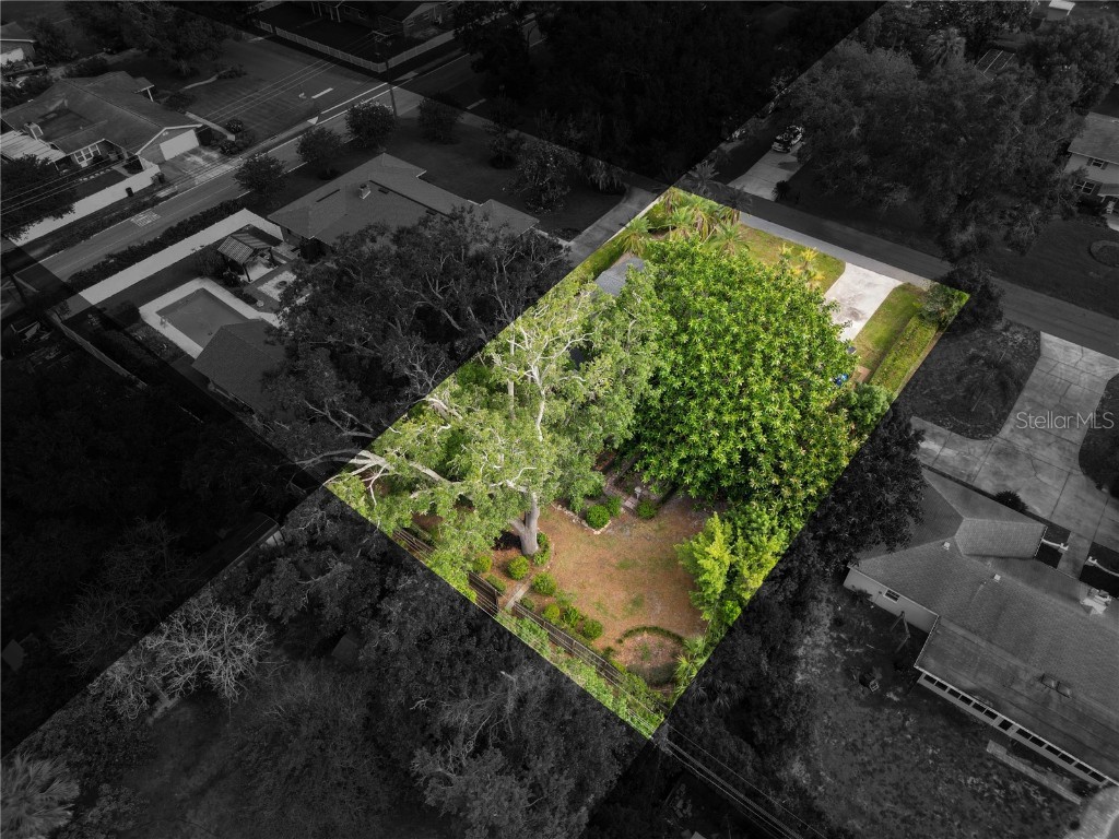 509 Rob Roy Street Lakeland FL 33813 L4953128 image48