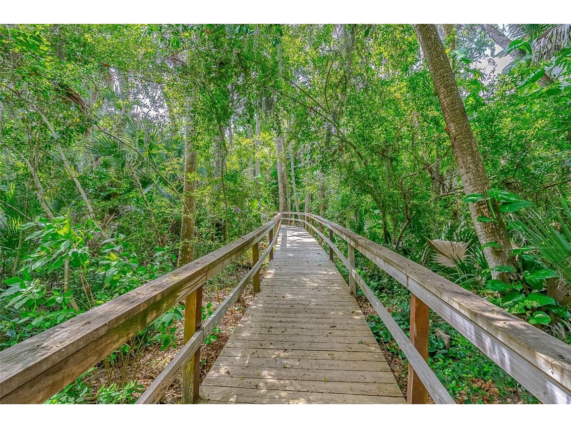 509 Starboard Avenue Edgewater FL 32141 NS1086668 image43