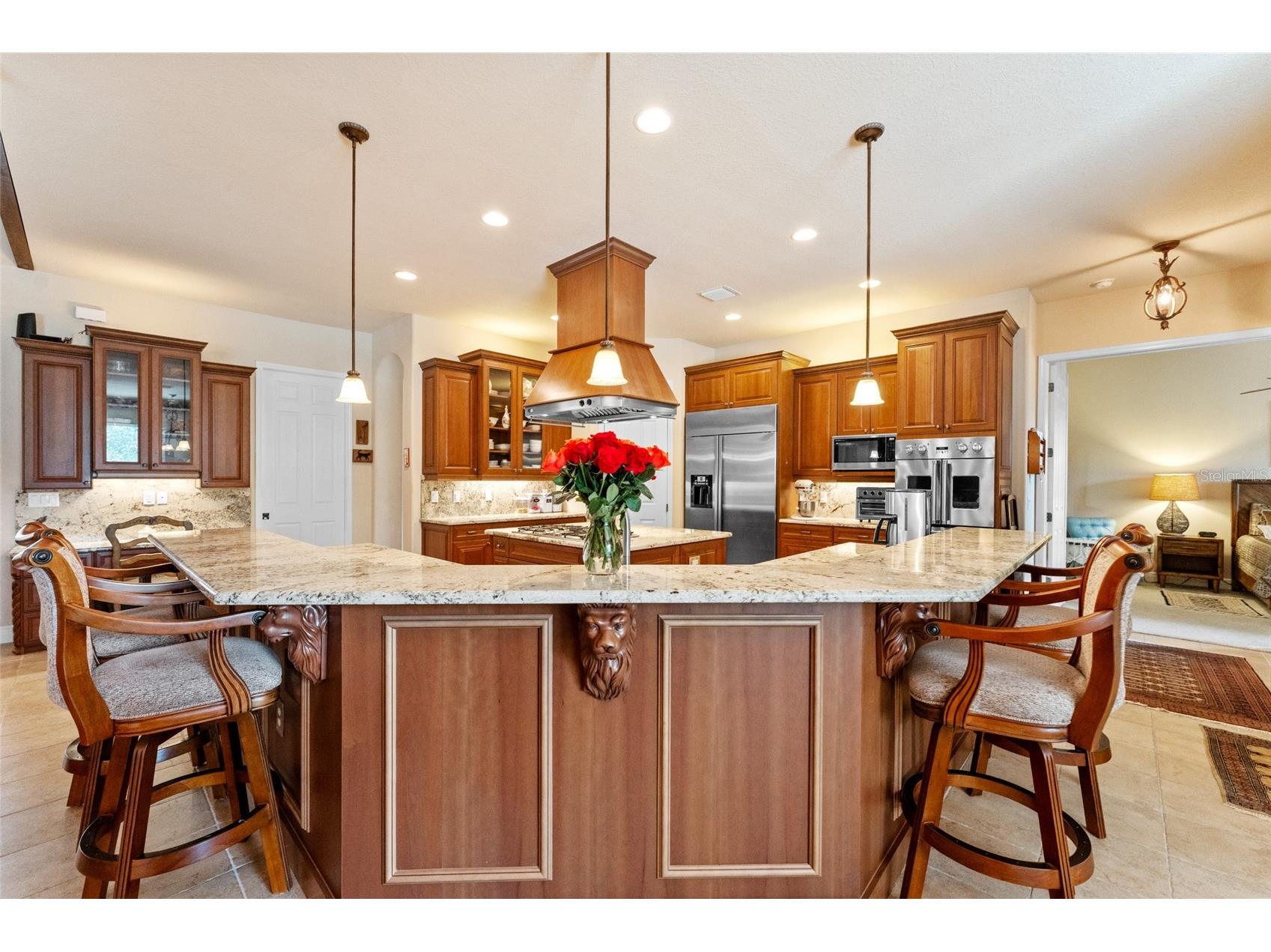 509 Vintage Way Brandon FL 33511 TB8514735 image17
