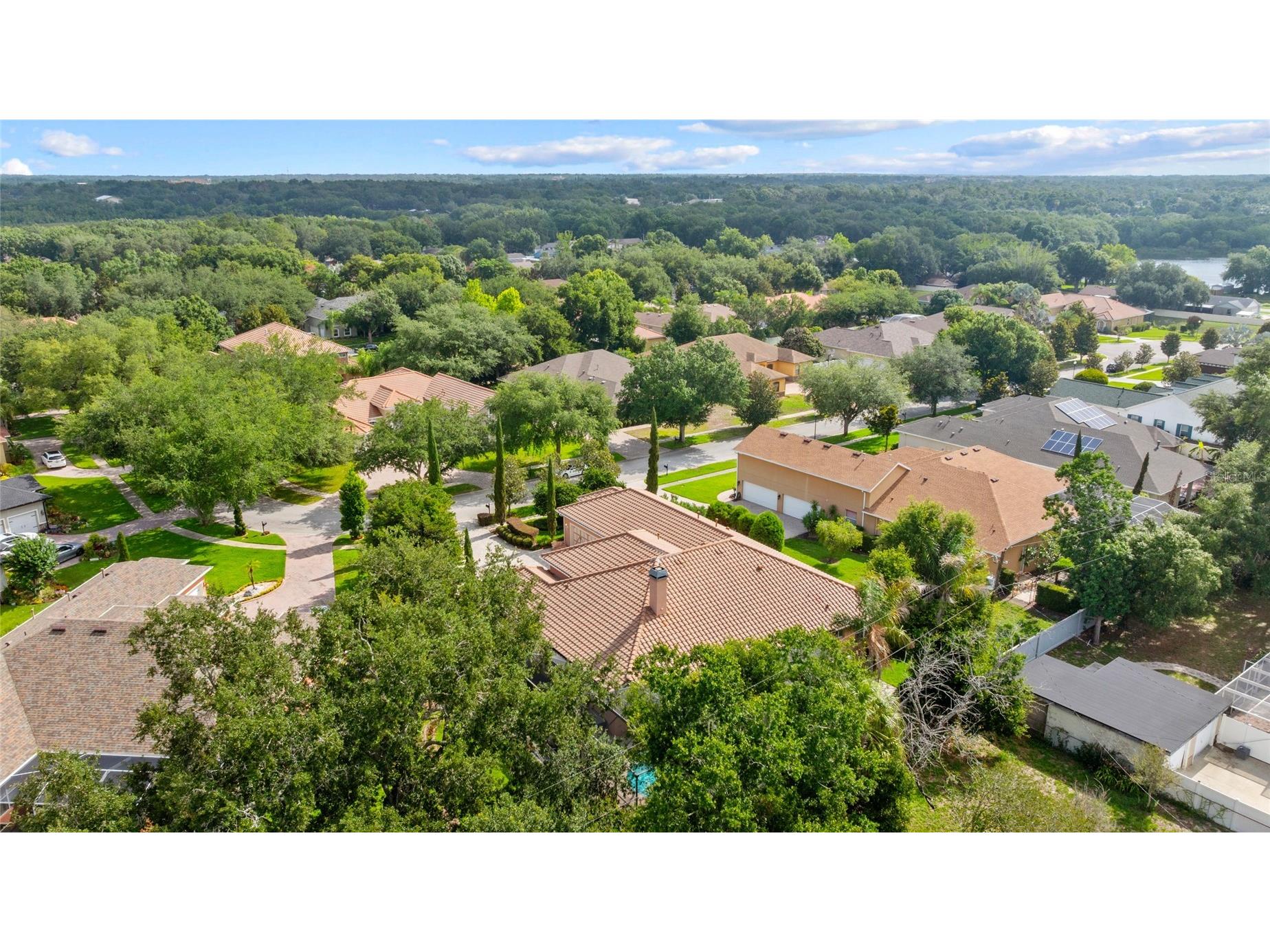 509 Vintage Way Brandon FL 33511 TB8514735 image49