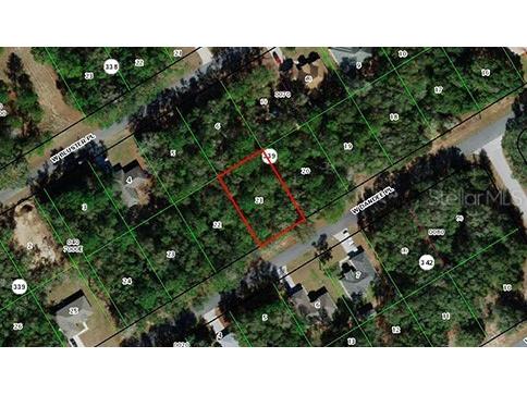 509 W Dandee Place Citrus Springs FL 34434 TB8481505 image1