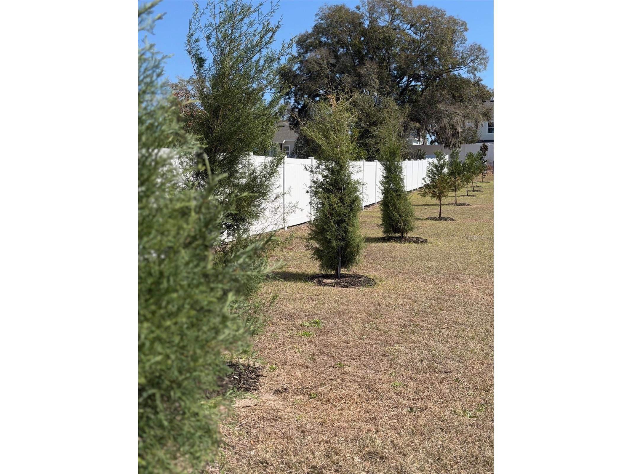 5092 NE 81st Boulevard Wildwood FL 34785 O6373301 image41