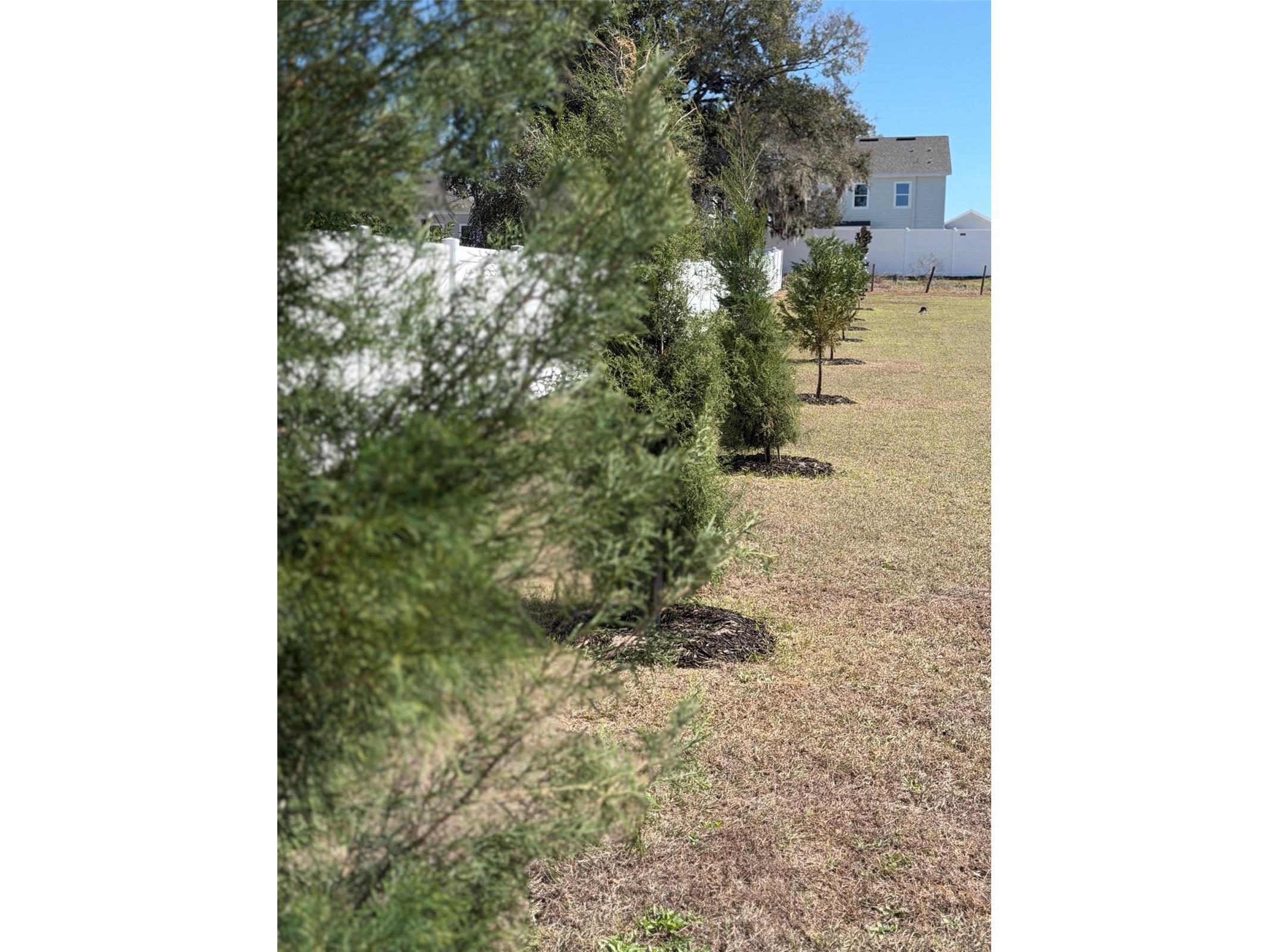 5092 NE 81st Boulevard Wildwood FL 34785 O6373301 image42