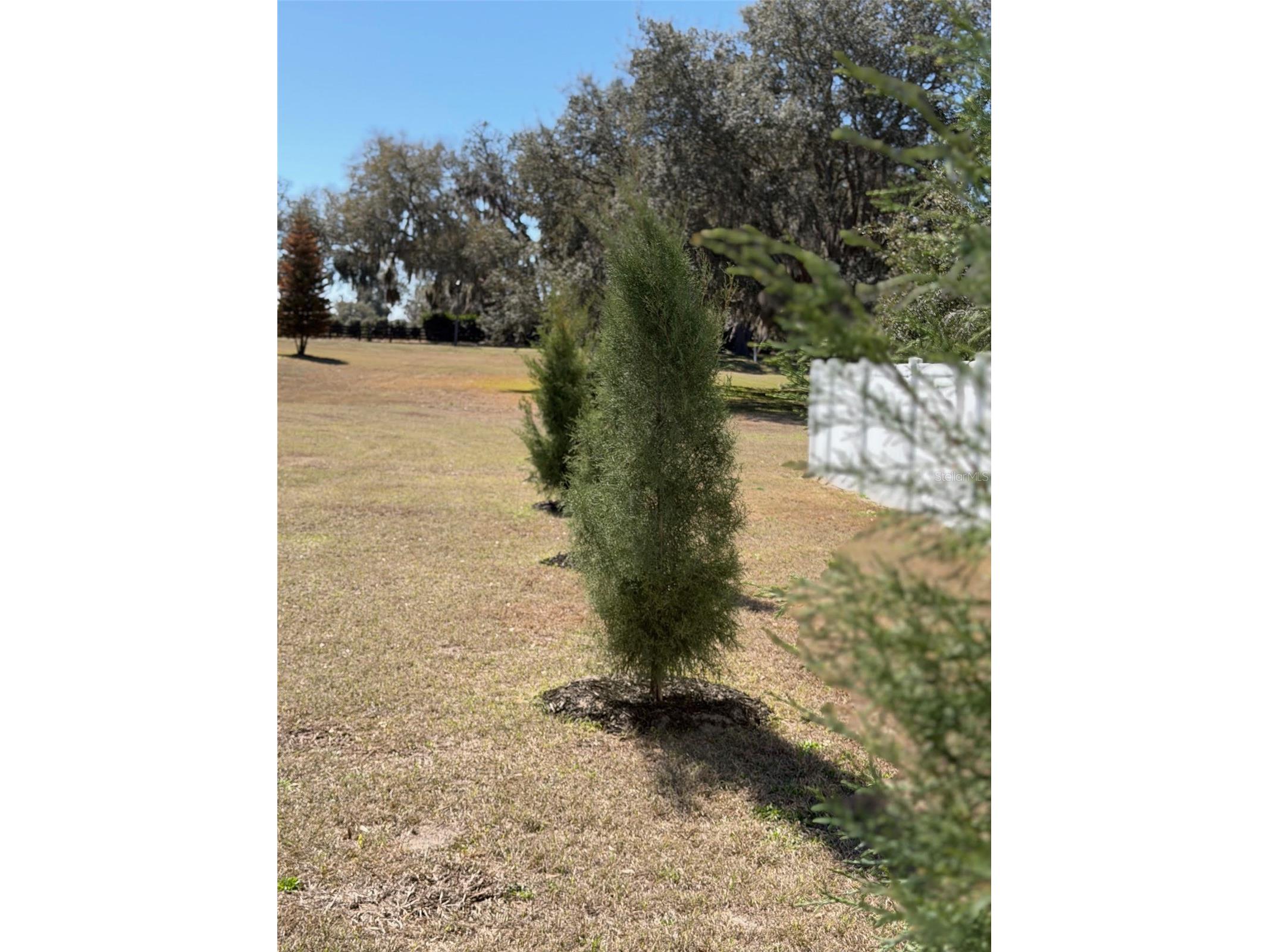 5092 NE 81st Boulevard Wildwood FL 34785 O6373301 image43