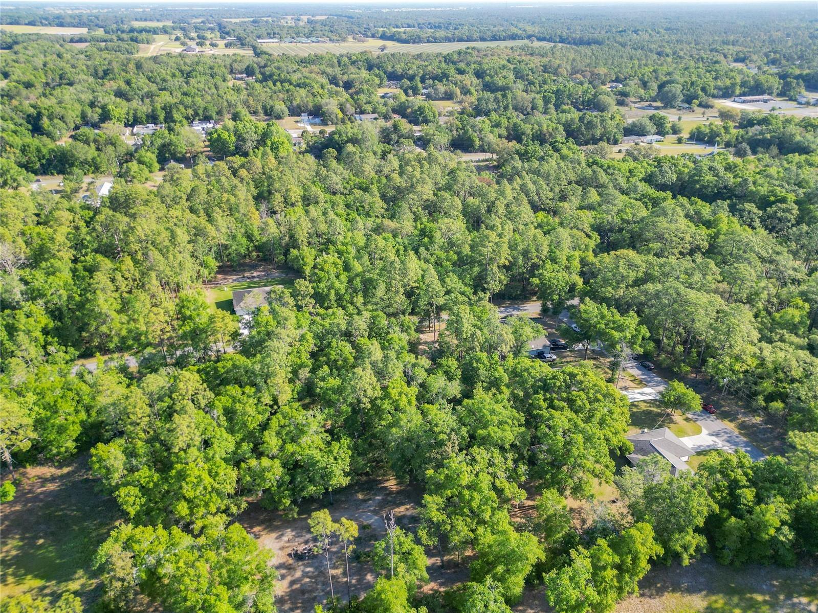 5092 SW 197th Terrace Dunnellon FL 34431 OM708821 image45