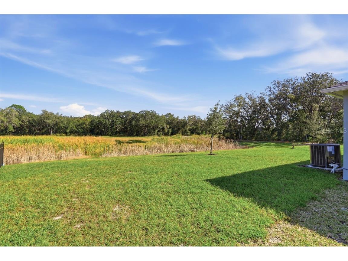 5093 Grand Teton Court Deland FL 32724 O6361260 image29