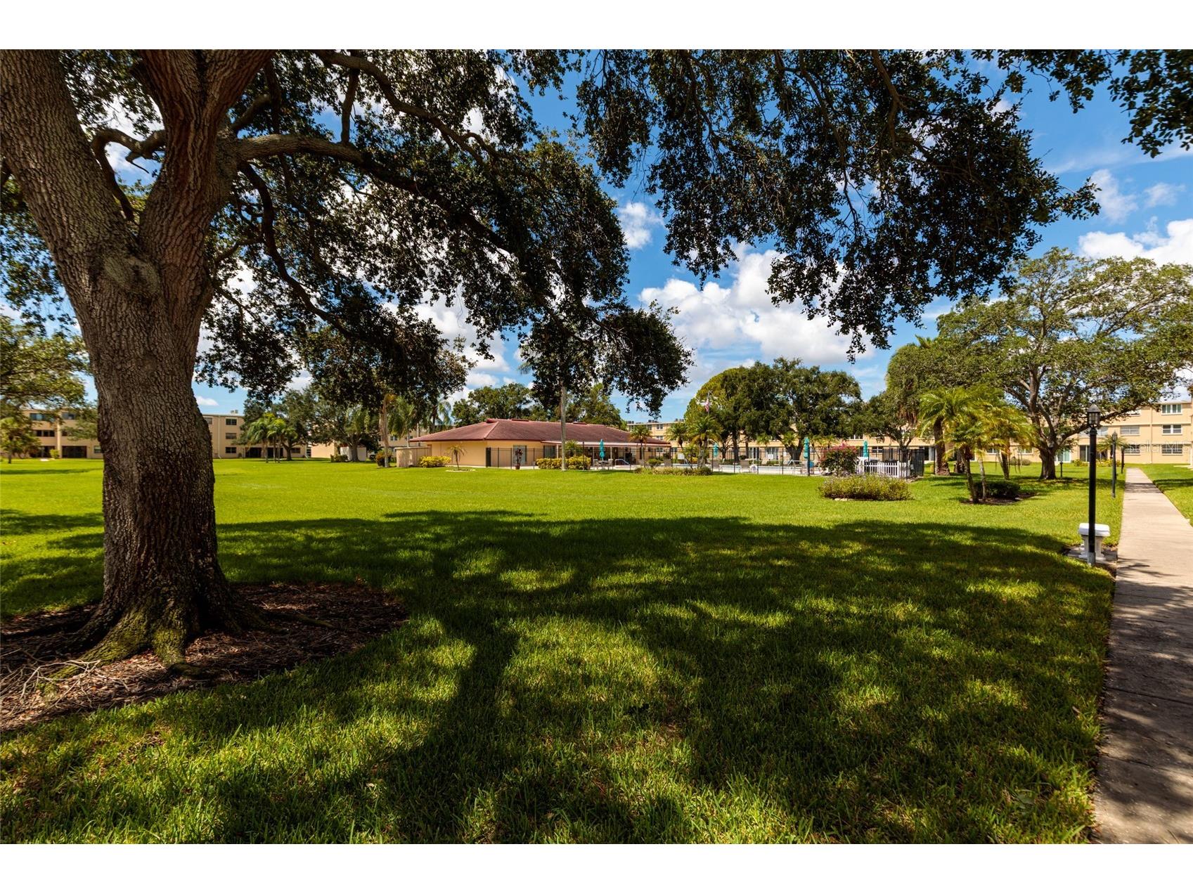 5095 Bay Street NE #102 Saint Petersburg FL 33703 TB8462793 image31