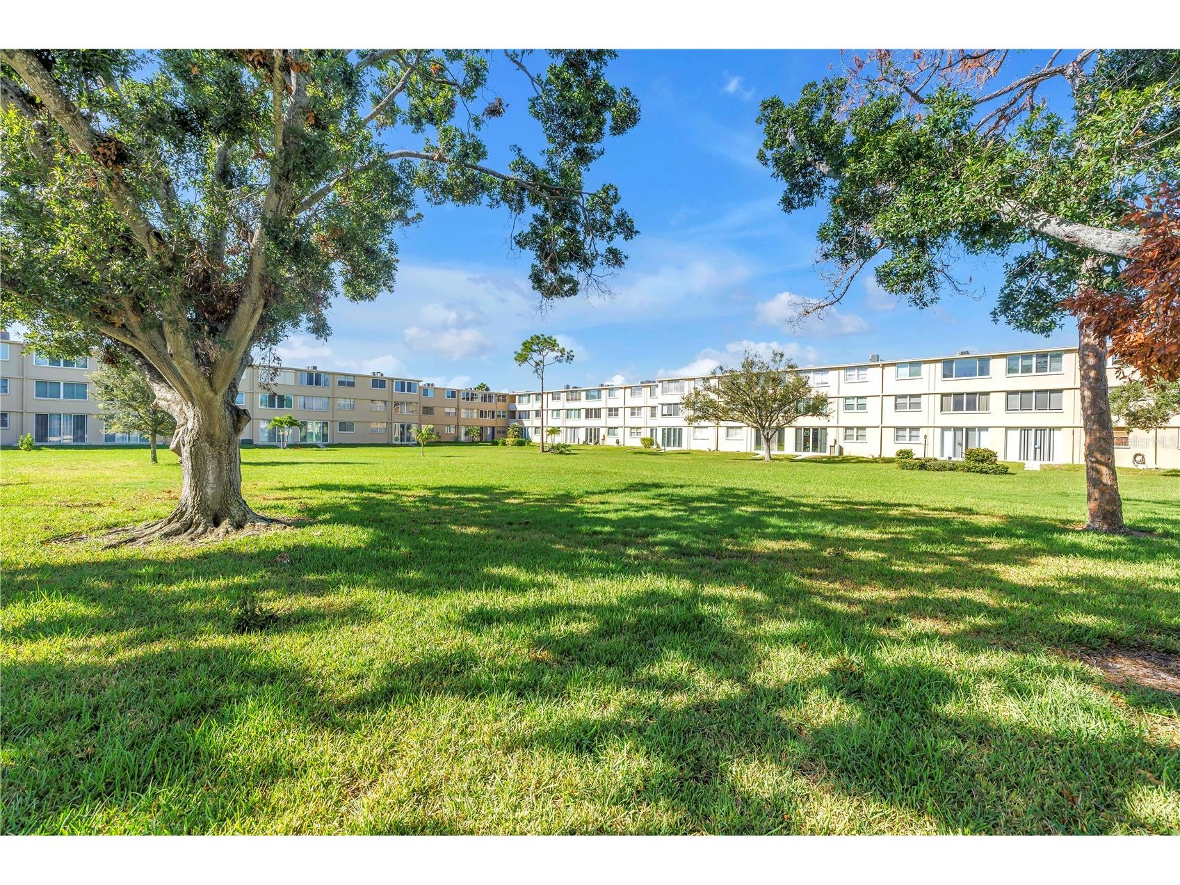 5095 Bay Street NE #317 Saint Petersburg FL 33703 TB8447340 image16