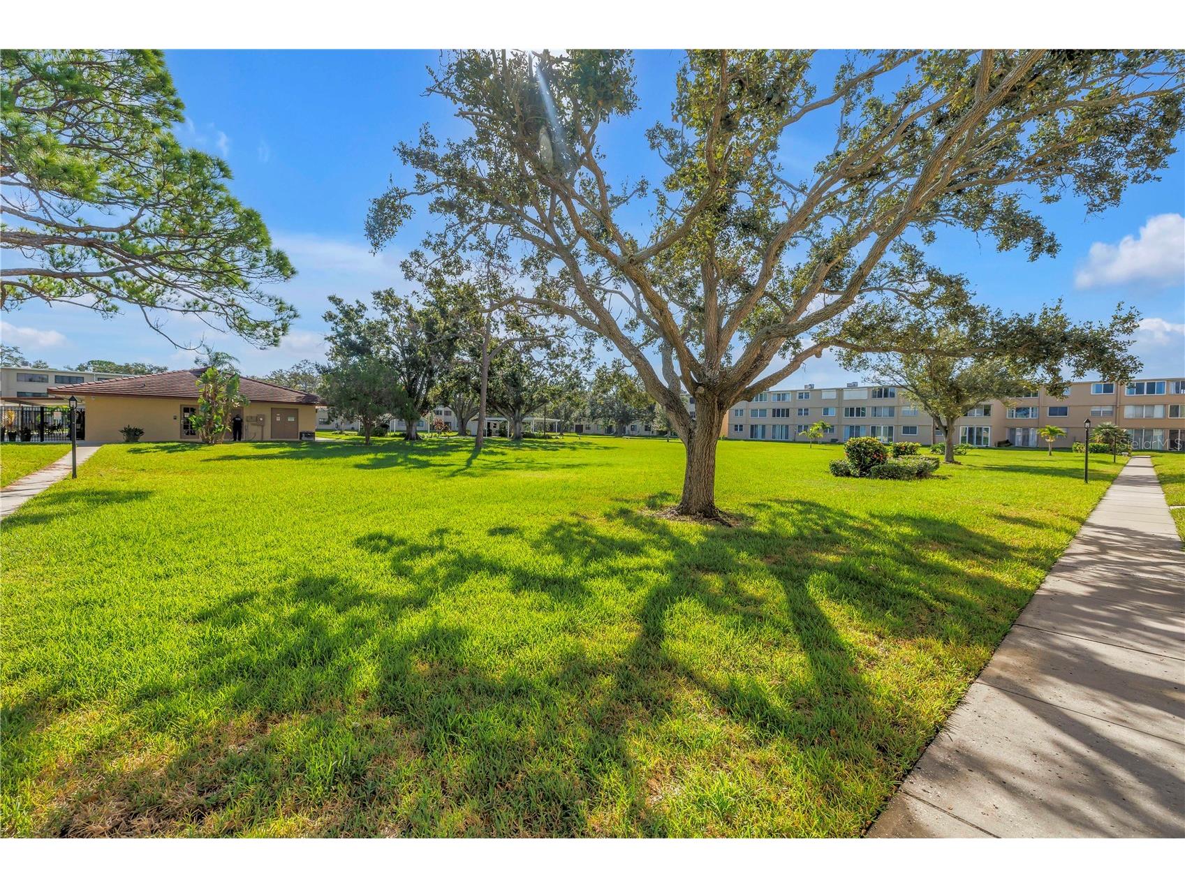 5095 Bay Street NE #317 Saint Petersburg FL 33703 TB8447340 image28