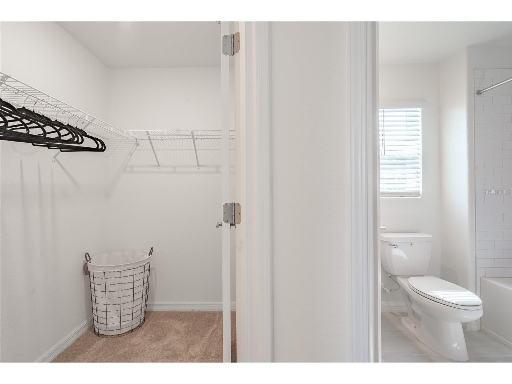 5095 Capri Harbor Drive Wimauma FL 33598 TB8502399 image11