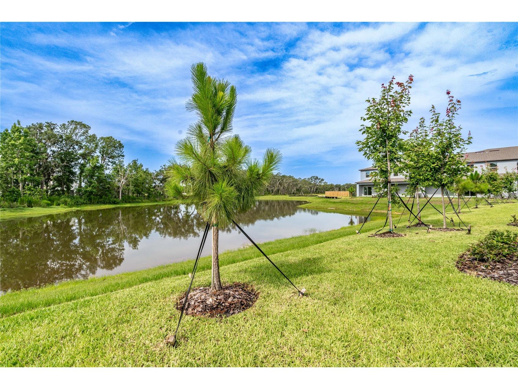 5095 Capri Harbor Drive Wimauma FL 33598 TB8502399 image21