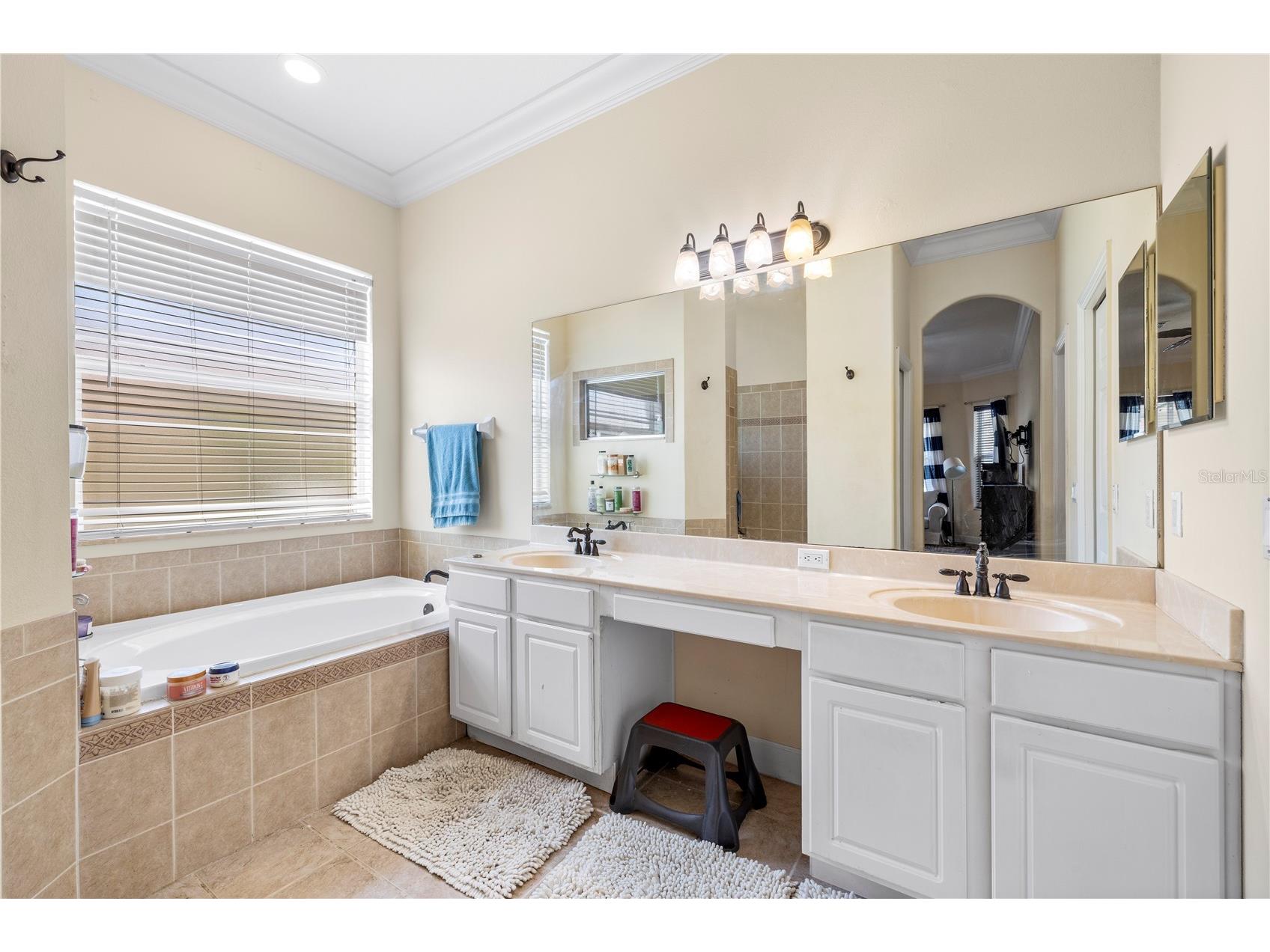 5096 Brightstone Place Spring Hill FL 34609 TB8500366 image41