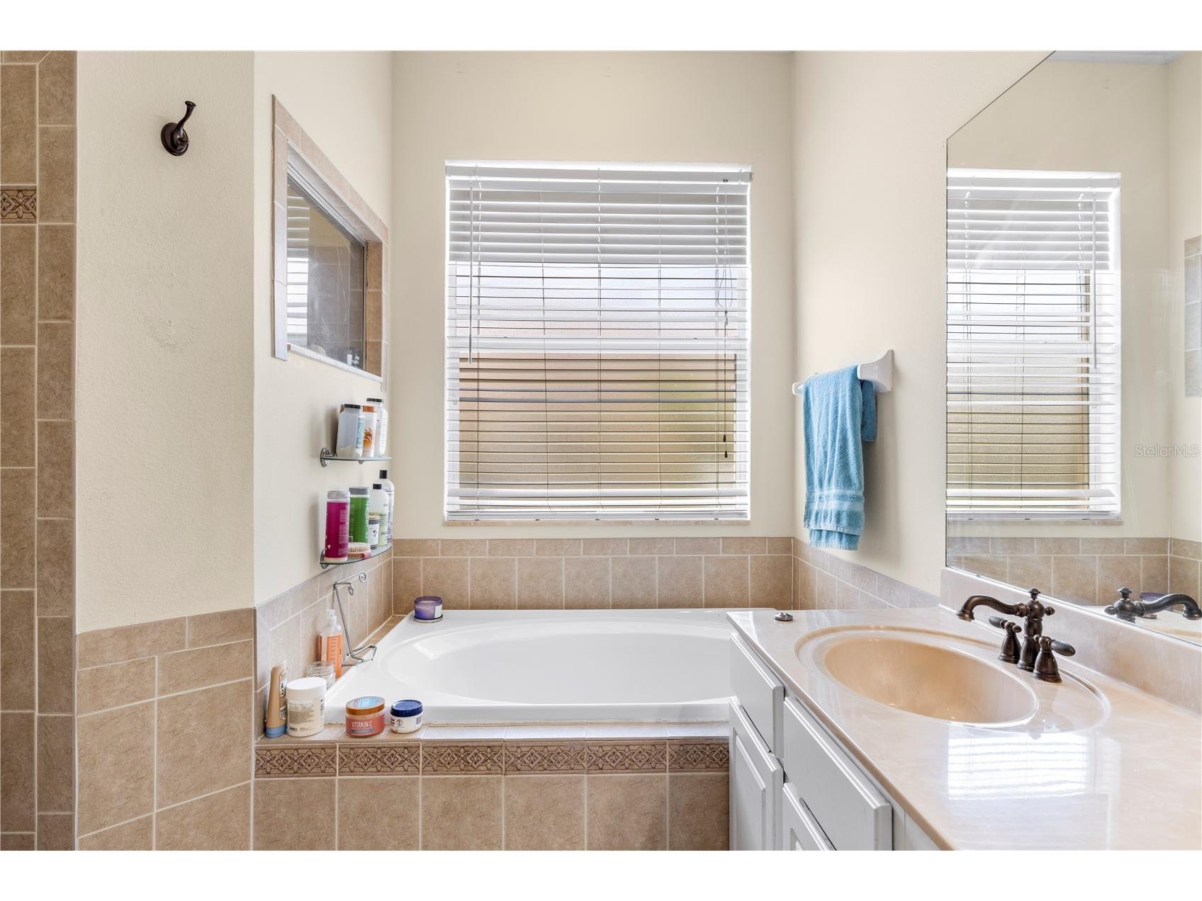 5096 Brightstone Place Spring Hill FL 34609 TB8500366 image42