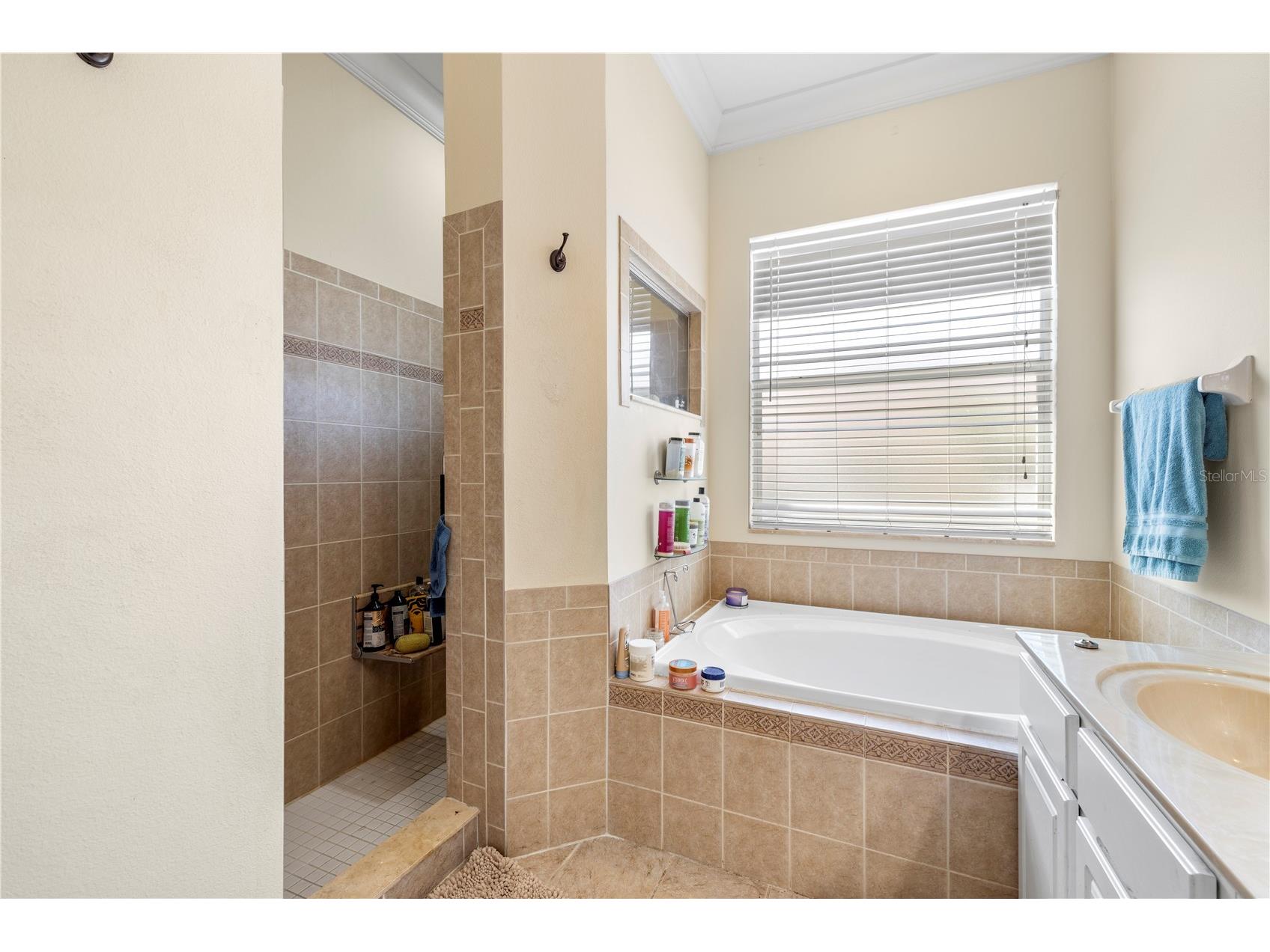 5096 Brightstone Place Spring Hill FL 34609 TB8500366 image43