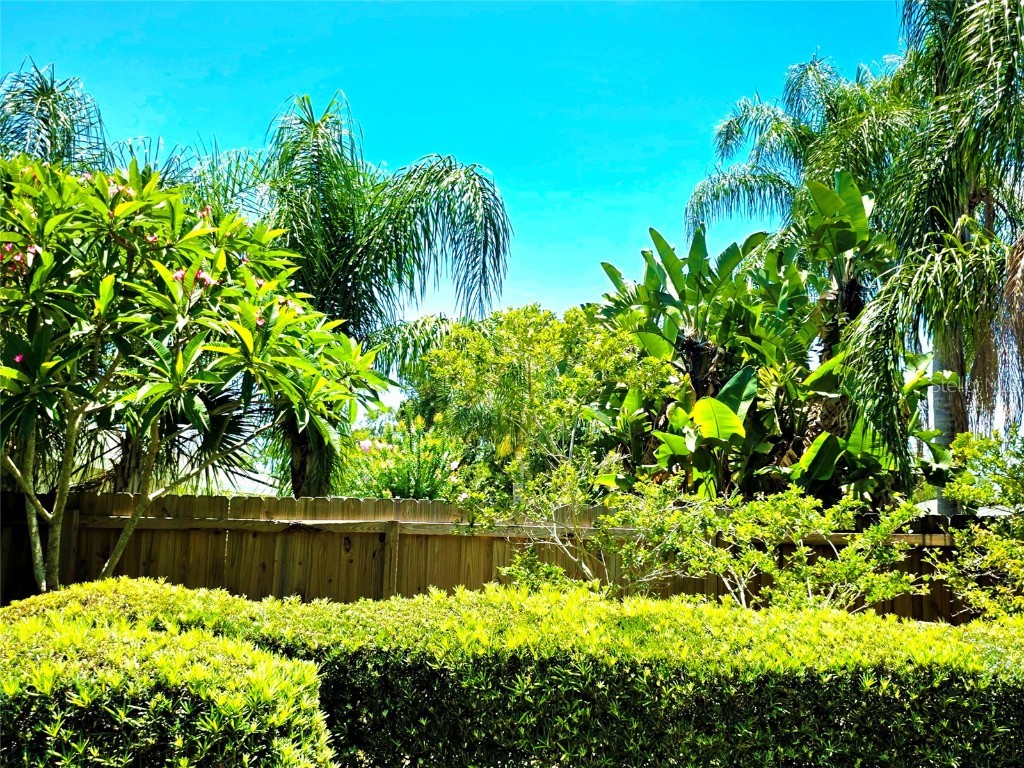 5096 The Oaks Circle Orlando FL 32809 O6319380 image35