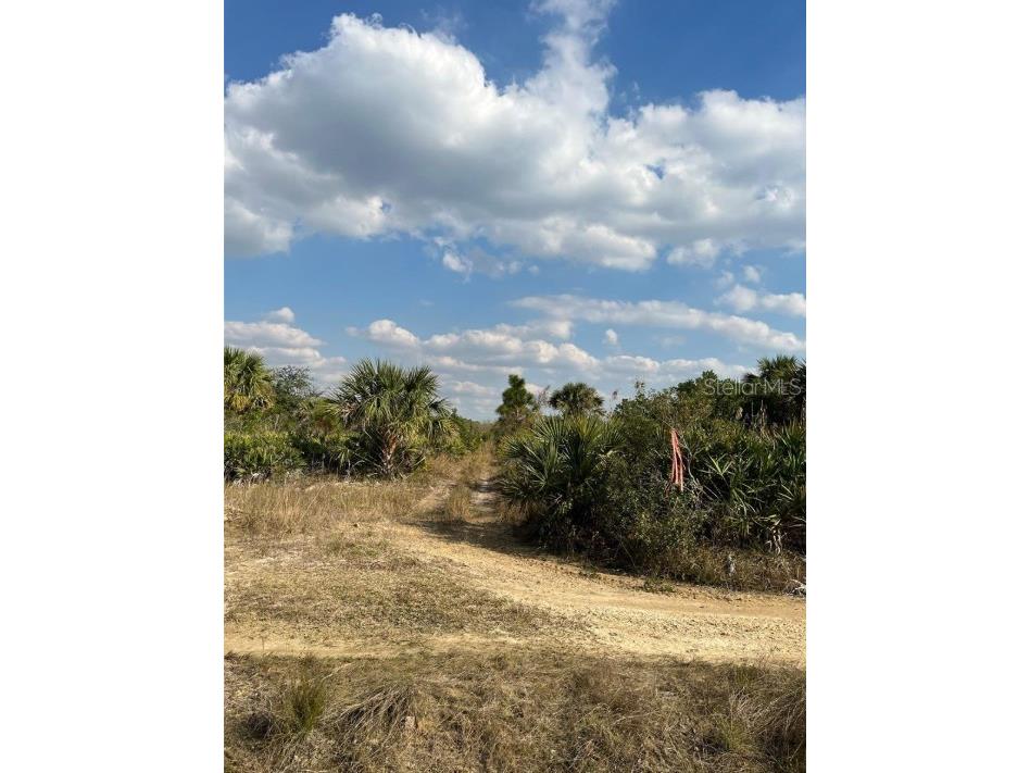 50982 Bermont Road Punta Gorda FL 33982 C7523024 image6