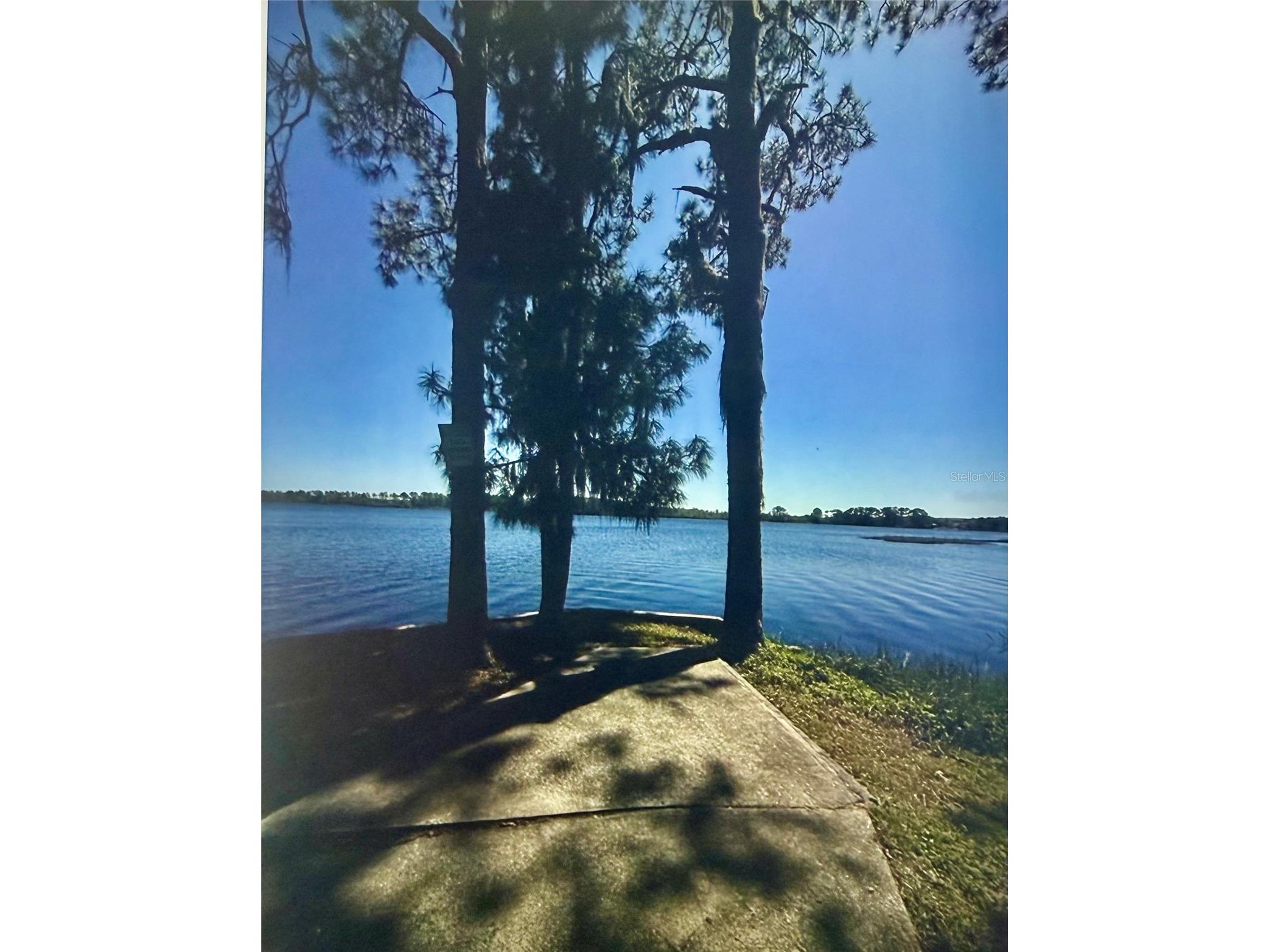 50989 Highway 27 #210 Davenport FL 33897 S5149355 image6