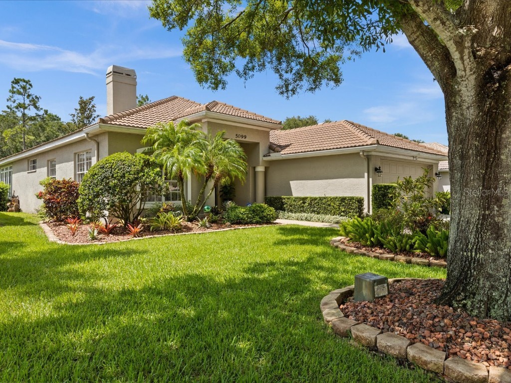 5099 Pinnacle Drive Oldsmar FL 34677 U8205016 image1