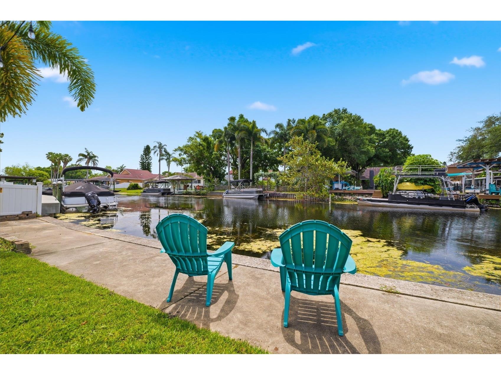 51 Cypress Drive Palm Harbor FL 34684 - LAKE TARPON TB8500235 image45