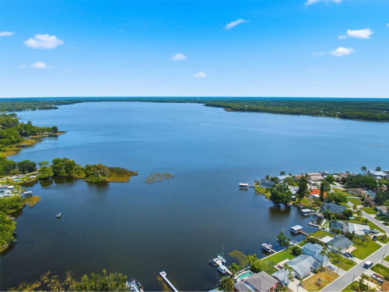 51 Cypress Drive Palm Harbor FL 34684 - LAKE TARPON TB8500235 image55
