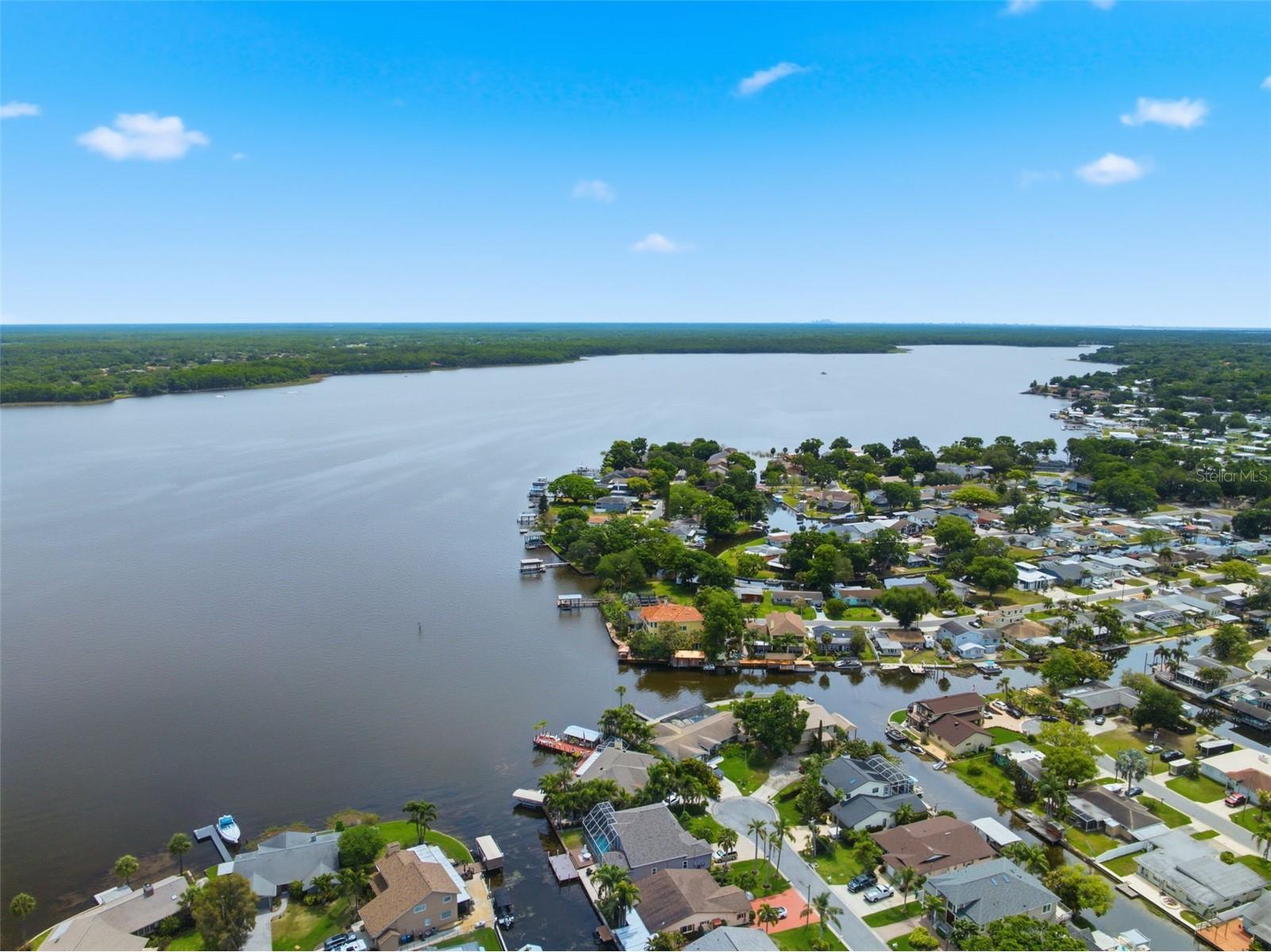 51 Cypress Drive Palm Harbor FL 34684 - LAKE TARPON TB8500235 image56