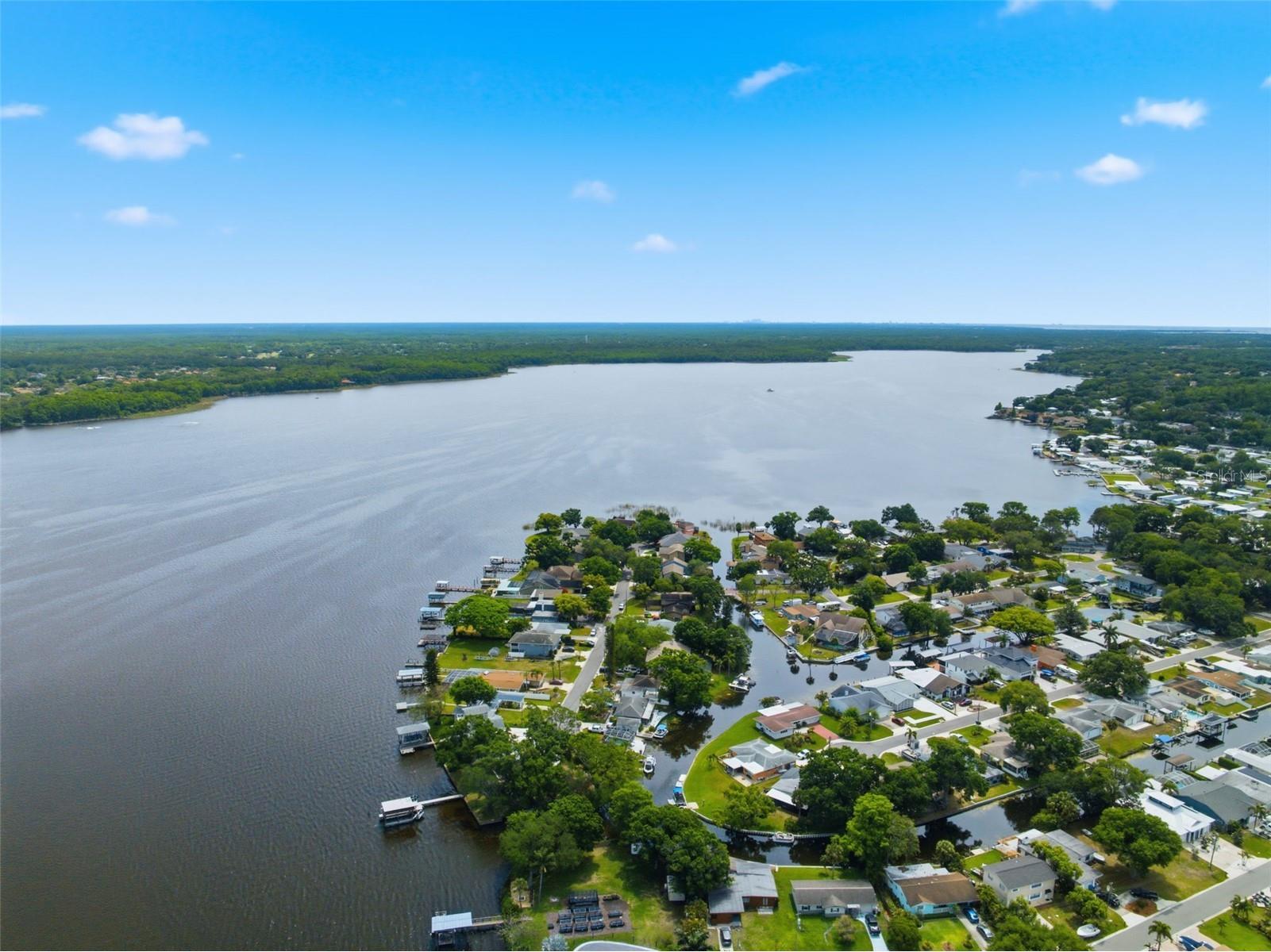 51 Cypress Drive Palm Harbor FL 34684 - LAKE TARPON TB8500235 image57