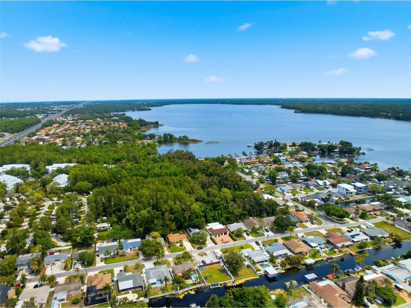 51 Cypress Drive Palm Harbor FL 34684 - LAKE TARPON TB8500235 image59