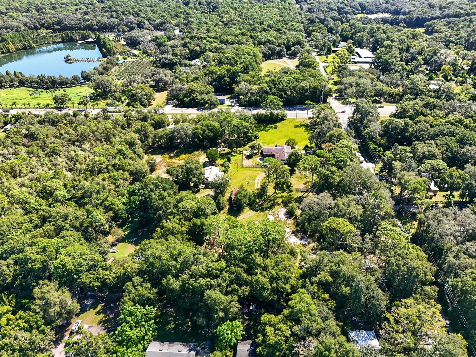 51 E Ponkan Road Apopka FL 32712 G5102519 image8