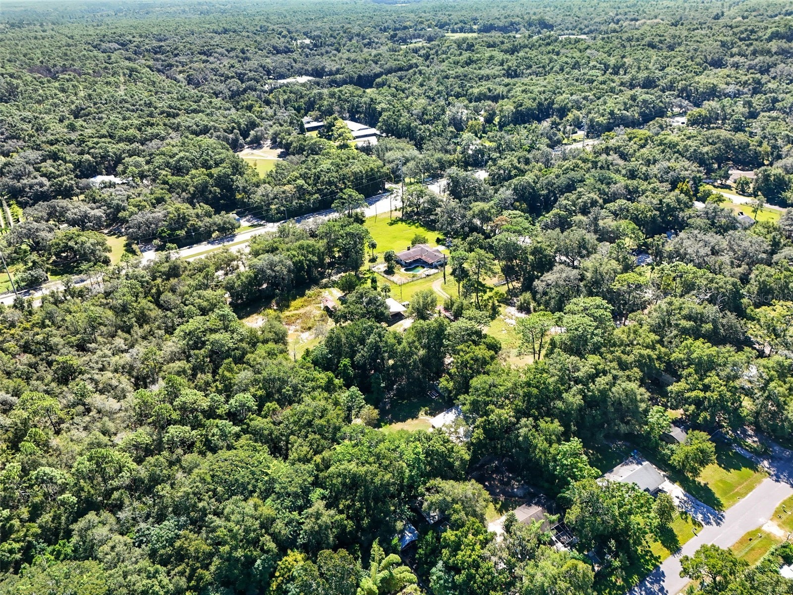 51 E Ponkan Road Apopka FL 32712 G5102519 image9