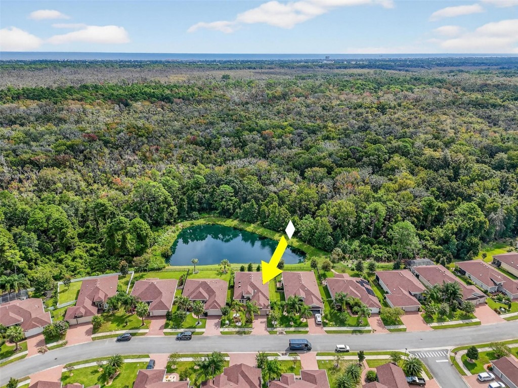 51 Graham Woods Place Palm Coast FL 32137 FC312736 image49