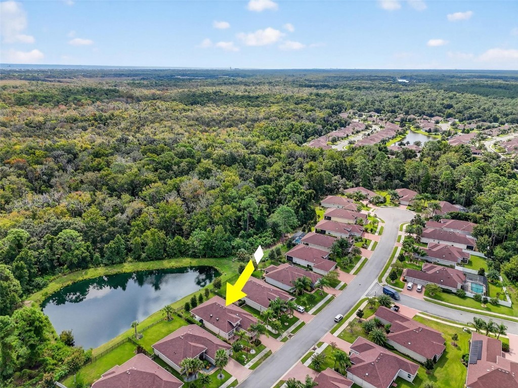 51 Graham Woods Place Palm Coast FL 32137 FC312736 image53