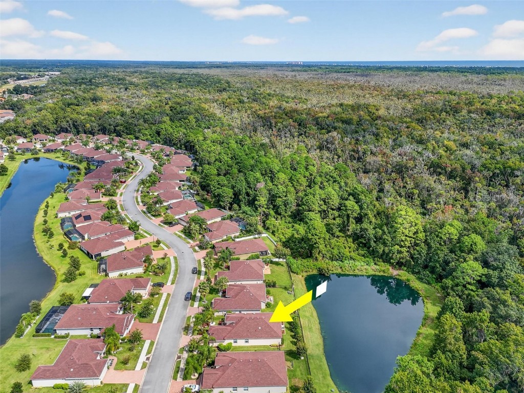 51 Graham Woods Place Palm Coast FL 32137 FC312736 image54