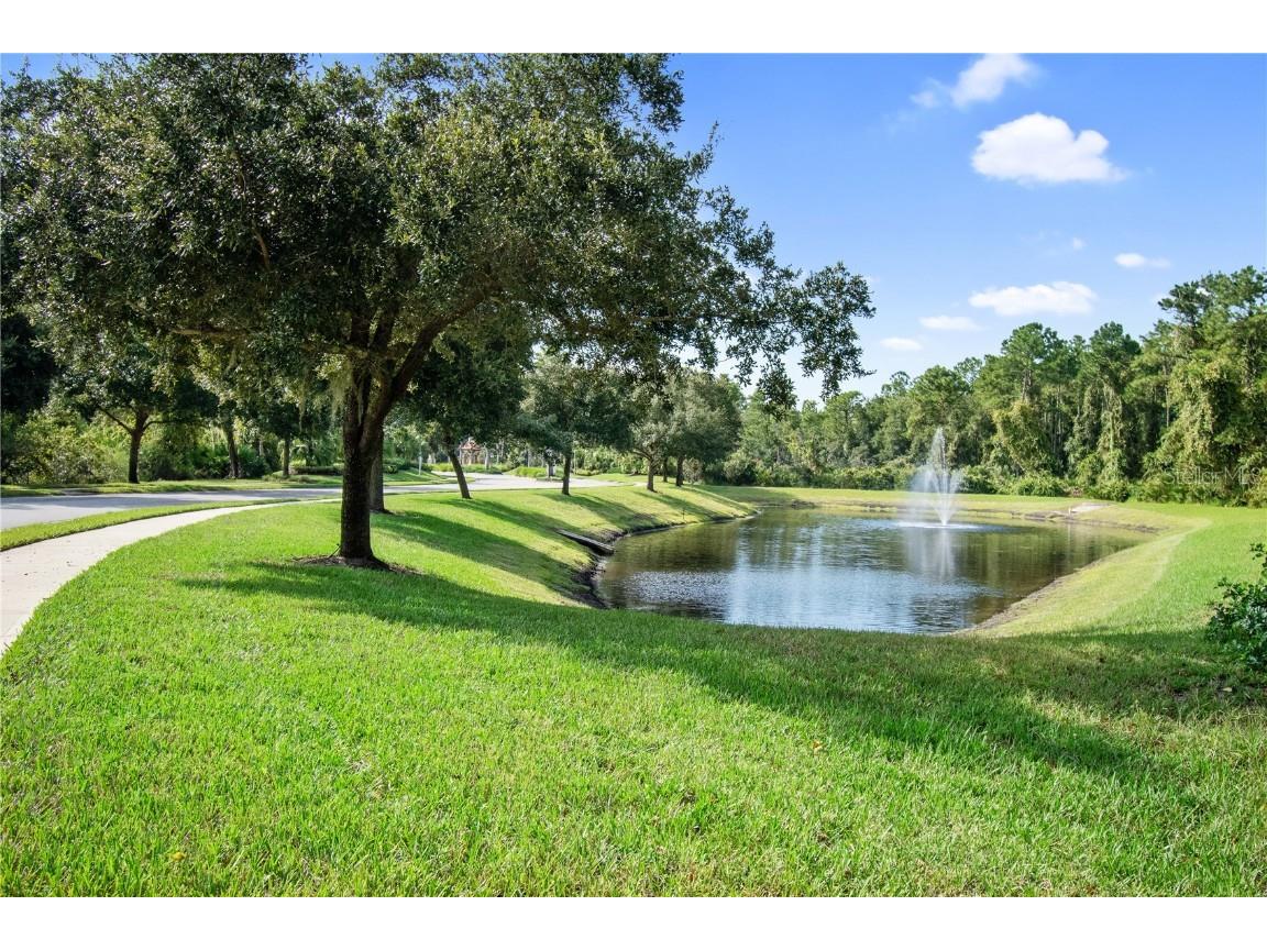 51 Graham Woods Place Palm Coast FL 32137 FC312736 image60