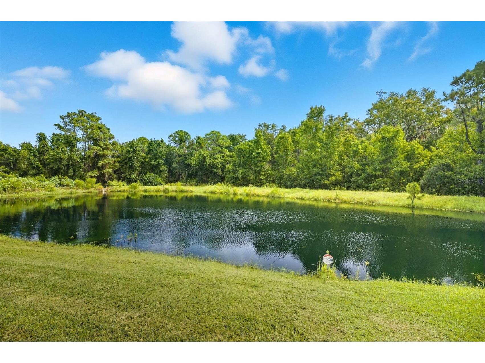 51 Graham Woods Place Palm Coast FL 32137 FC315616 image5