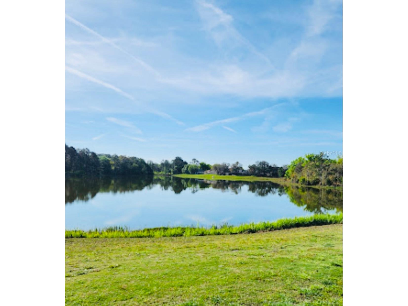 51 Hickory Course Trail Ocala FL 34472 S5150739 image31