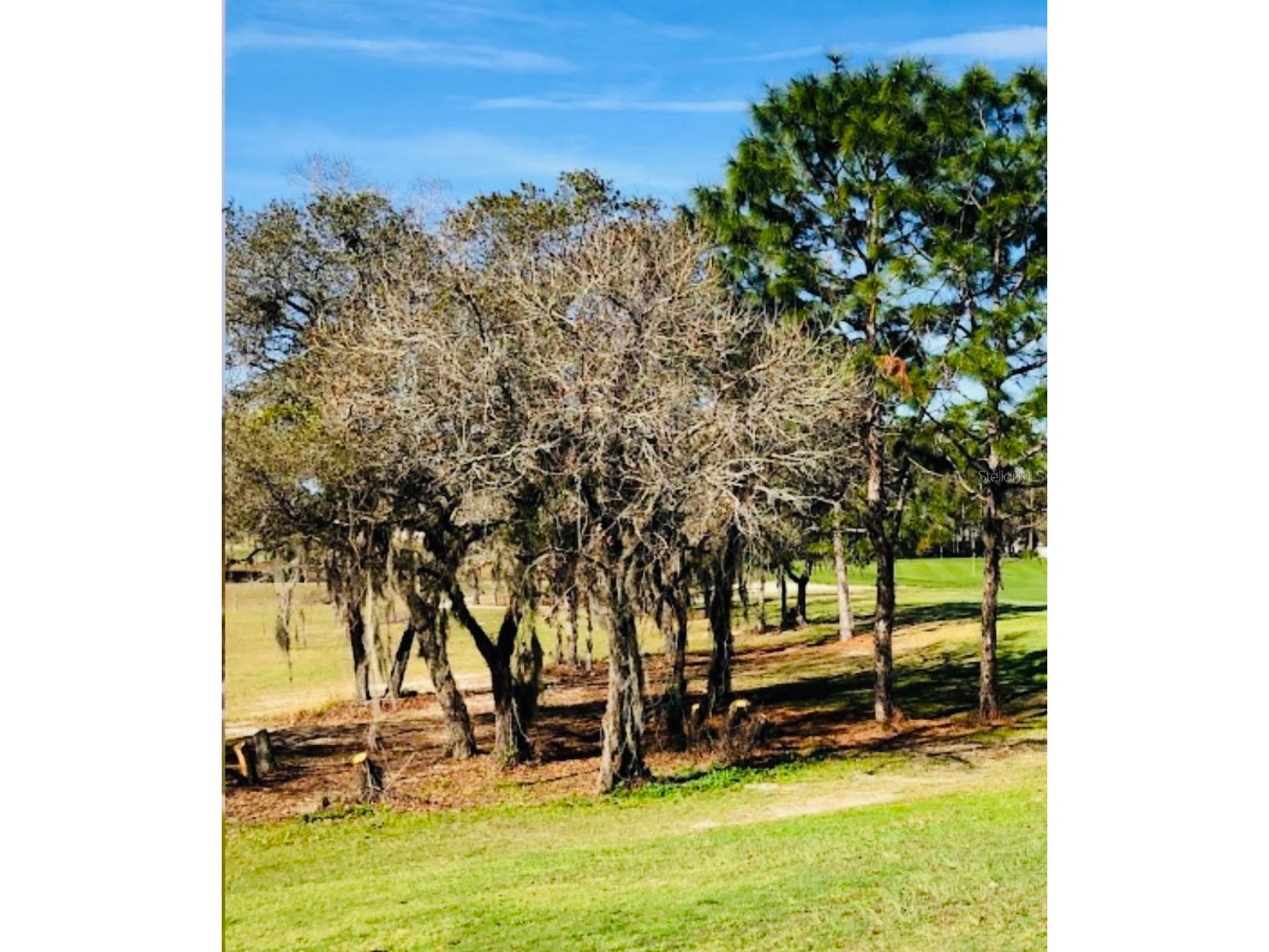 51 Hickory Course Trail Ocala FL 34472 S5150739 image32