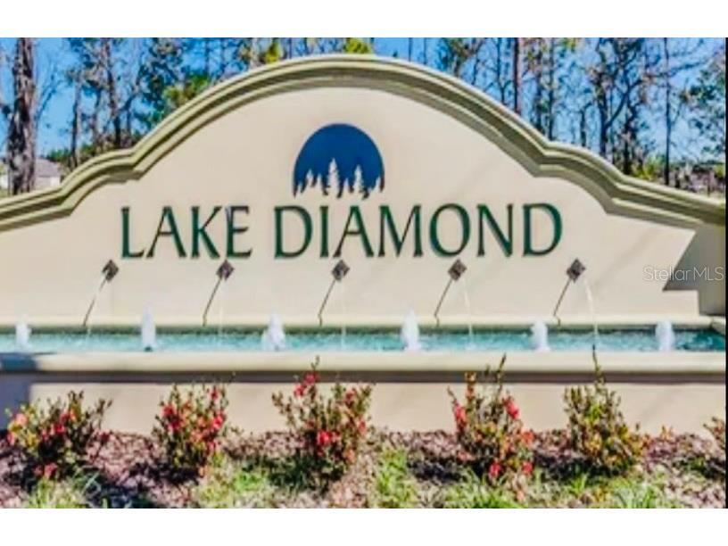51 Hickory Course Trail Ocala FL 34472 S5150739 image33